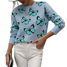 butterfly embroidery pullover