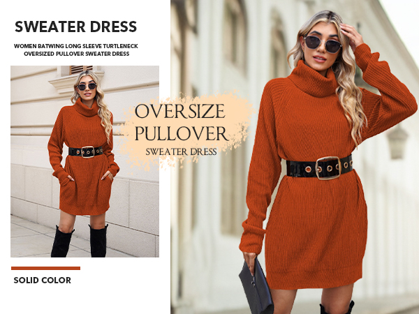 Women Batwing Long Sleeve Turtleneck Oversized Pullover Sweater Dress