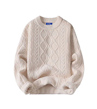 Aelfric Eden Solid Color Crew Neck Sweater