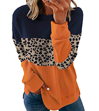 Leopard Print Pullover