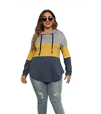 plus size pullover for women