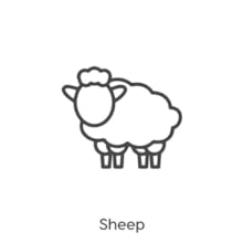 sheep merino wool logo for yarn benefits