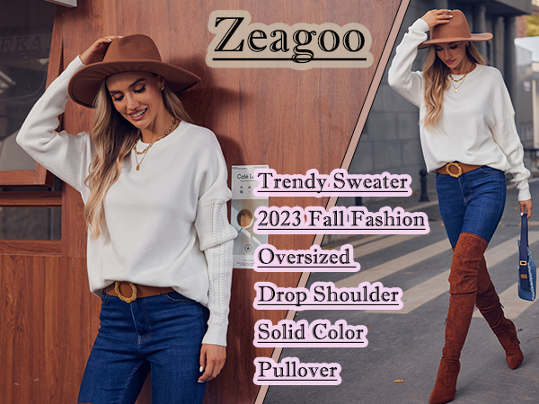 Zeagoo Cute Sweaters for Women Fall Fashion Chunky Cozy Winter Outfits 2023 Cashmere Trendy Pullover