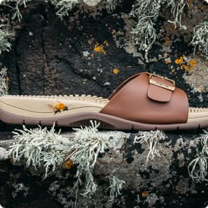 sandal on mossy cliff rock with bee in flight