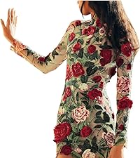 Mini Dress for Women Floral Embroidered Long Sleeve Bodycon Party Dress Sexy Mesh Evening Dresses