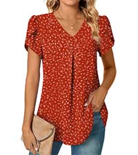 Summer Dressy Chiffon Blouses