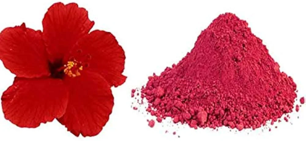 Gudhal Phool Powder 100gms Hibiscus Flower