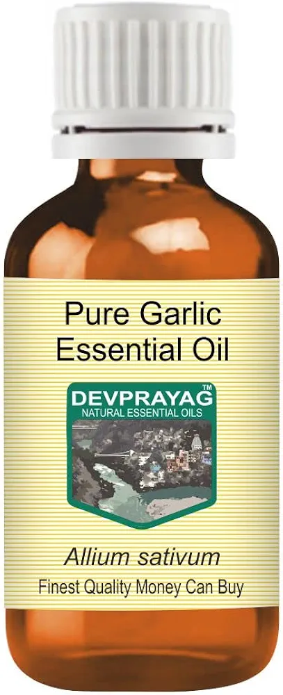 Pure Garlic Essential Oil (Allium sativum) Steam Distilled 30ml (1 oz)