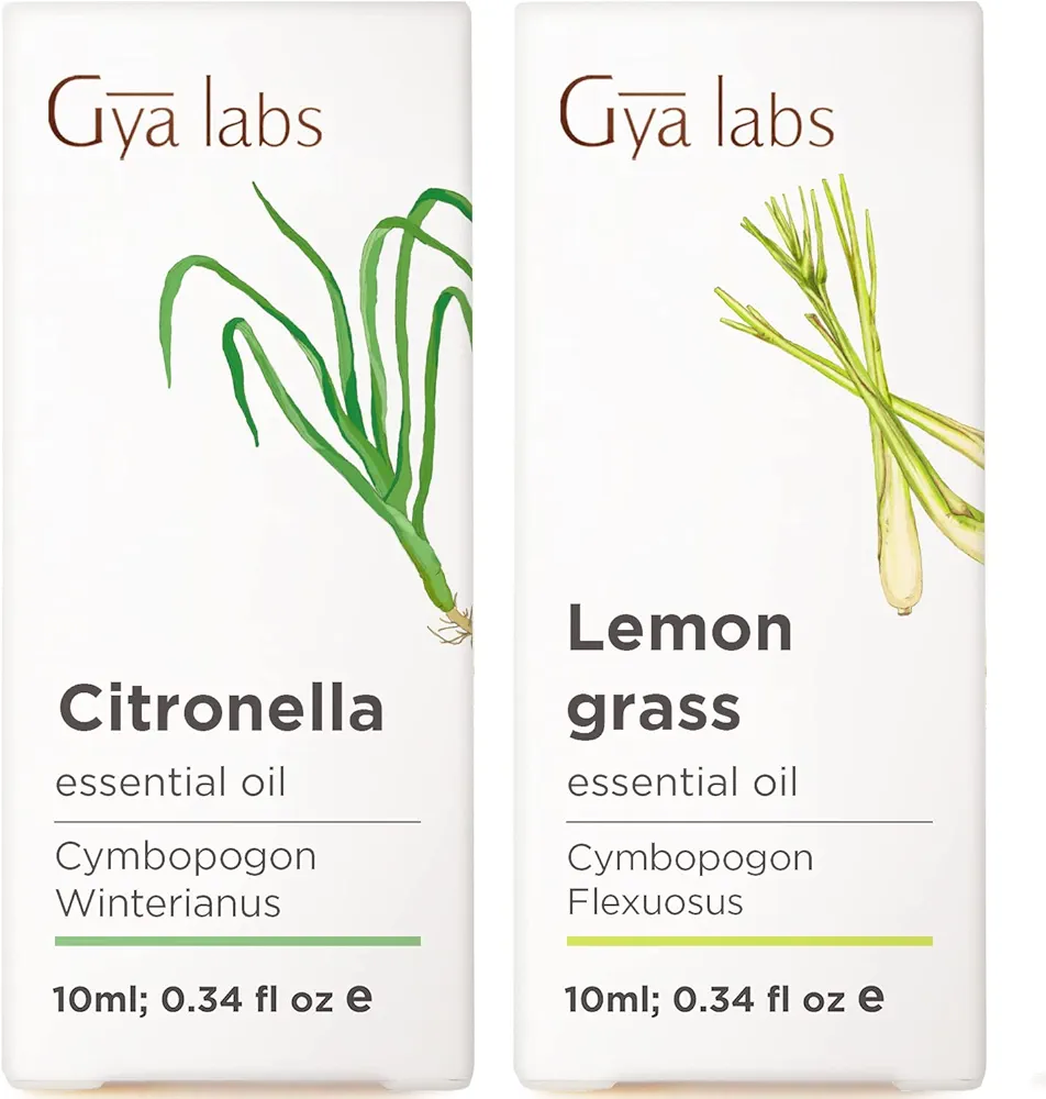 Citronella Oil for Candle Making & Lemongrass Essential Oil for Diffuser Set - 100% Natural Aromatherapy Grade Essential Oils Set - 2x0.34 fl oz - Gya Labs