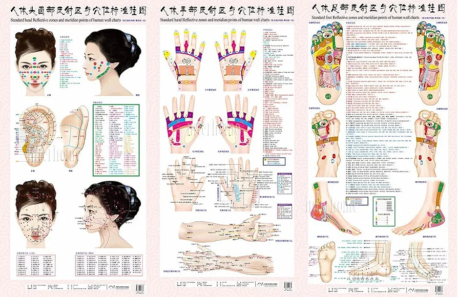 3 Style Standard Meridian Acupuncture Points Chart and ZhenJiu Moxibustion Acupoint Massage Chart for Head Hand Foot Health Care, Hard Roll Pack