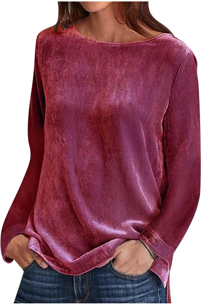 Women's Elegant Long Sleeve Tops Round Neck Vintage Velvet Blouse Velour Pullover Casual Solid Color Shirts Tees