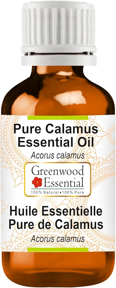 Pure Calamus Essential Oil (Acorus Calamus Steam Distilled 5ml (0.16 oz)