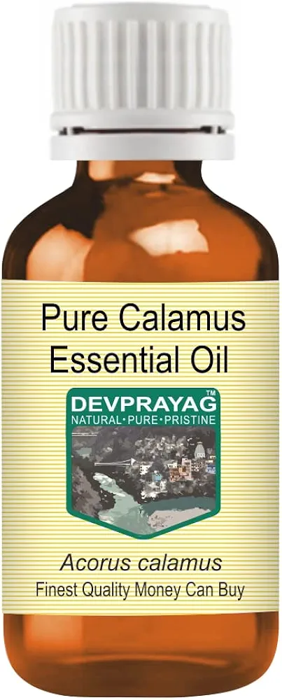 Pure Calamus Essential Oil (Acorus Calamus) Steam Distilled 50ml (1.69 oz)