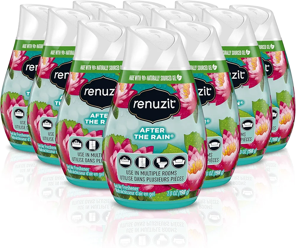 Renuzit - 1716906 03663 Adjustables Air Freshener, After the Rain Scent, Solid, 7 oz (Case of 12)