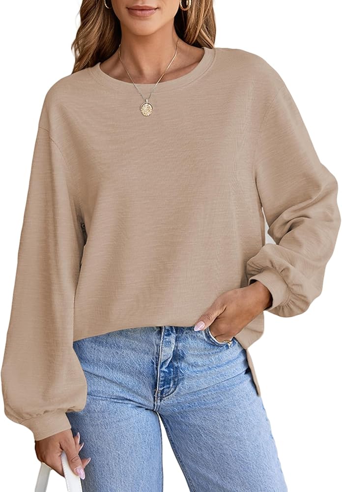 SHEWIN Women's Casual Long Sleeve Shirts Cute Crewneck Basic Loose Fit Tunic Tops