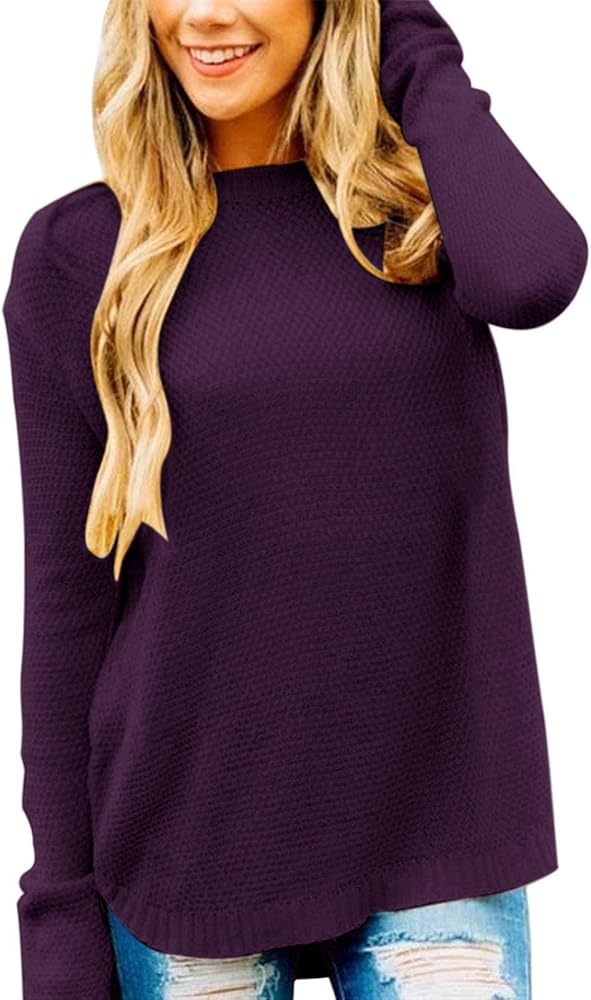 LEANI Women’s 2024 Long Sleeve Crew Neck Pullover Sweater Loose Casual Soft Knit Jumper Tops